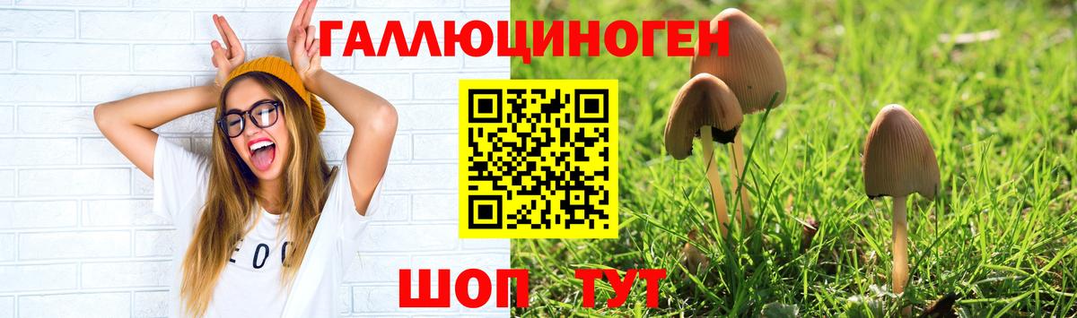 Ижевск  Псилоцибиновые грибы мицелий  Псилоцибиновые грибы Cubensis  Вход с VPN 