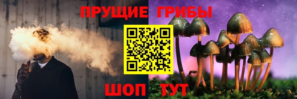 Галлюциногенные грибы Cubensis Ижевск